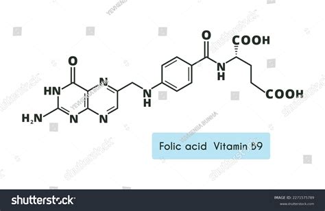 Vitamin B9 Folic Acid Molecule Skeletal Stock Vector Royalty Free 2271575789 Shutterstock