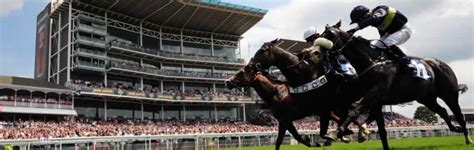 York Ebor Private Boxes | Racecourse Hospitality