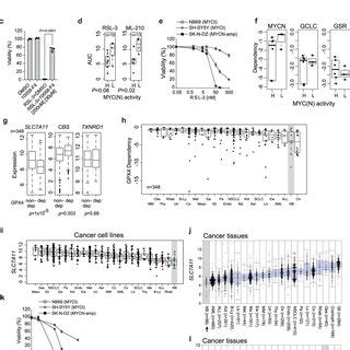 Additional Screen Targets And Expression Data A MYCN Synthetic Lethal