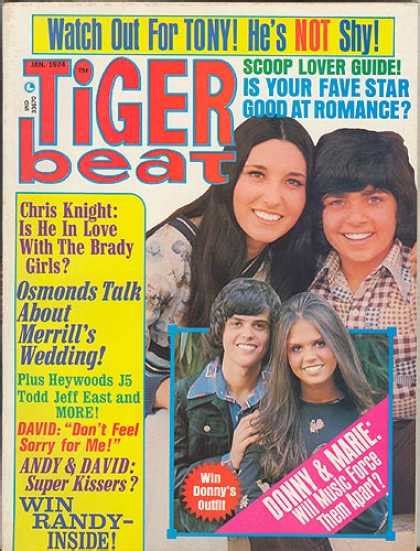 Tiger Beat Covers