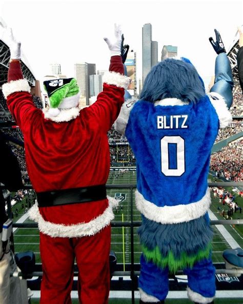 1000+ images about Seattle Seahawks Mascot - Blitz on Pinterest | Seasons, Happy mothers day and ...