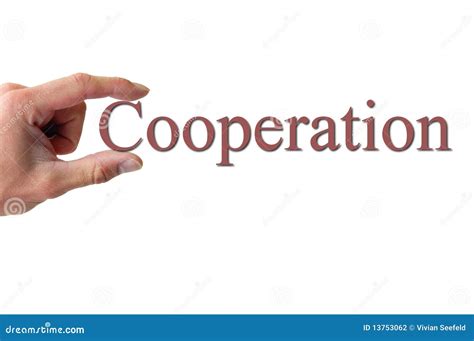 Hand Holding The Word Cooperation Stock Photography Image 13753062