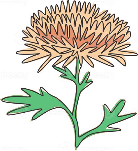 Single Continuous Line Drawing Beauty Fresh Chrysanthemum For Garden