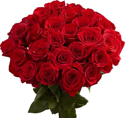 GlobalRose Red Roses- Express Flower Delivery- 50 Fresh Cut Stems ...