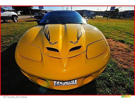 Collector Edition Yellow Pontiac Firebird Trans Am Ws Coupe