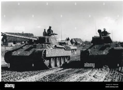 German Tanks On The Eastern Front 1944 The Tanks Are Panthers From The 5th Ss Panzer Division