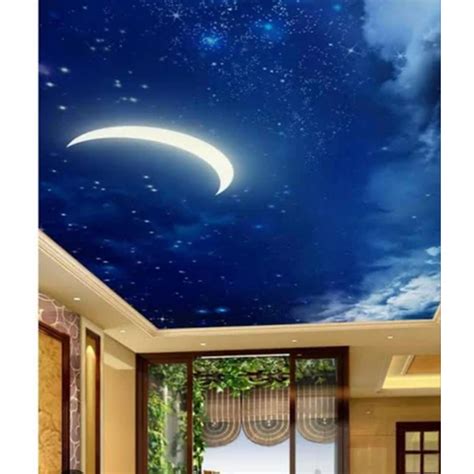 Pvc 3D Sky Cloud Ceiling Wallpaper at Best Price in New Delhi ...