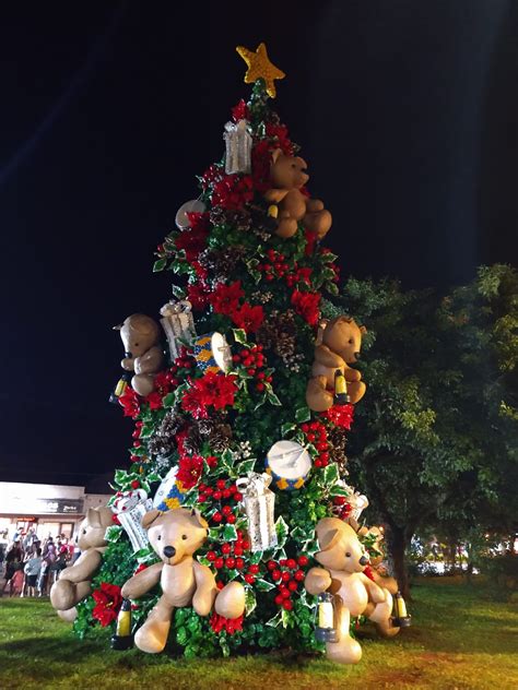 Capioví Encendieron el emblemático árbol dando inicio a la XV edición