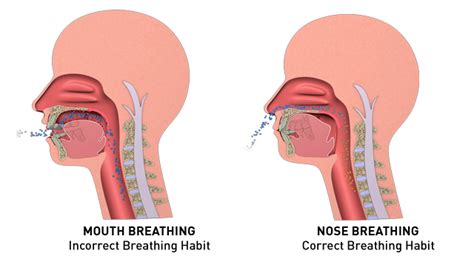 Mouth breathing vs Nasal breathing