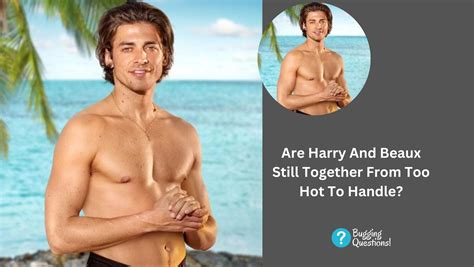 Are Harry And Beaux Still Together From Too Hot To Handle Know About