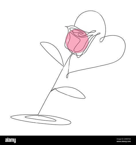 Continuous Single One Line Rose Design Hand Drawn Drawing Roses Line