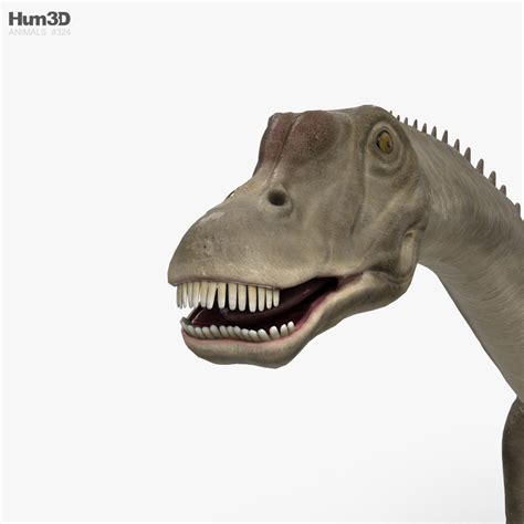 Diplodocus Hd 3d Model Animals On Hum3d