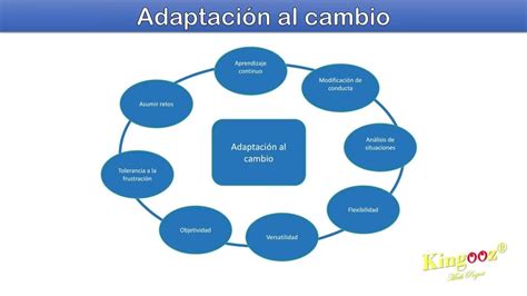 Estrategias Para Desarrollar Habilidades De Adaptación Al Cambio