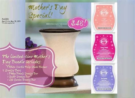 MOTHER S DAY BUNDLE Mom Will LOVE This Beautiful Warmer Comes With