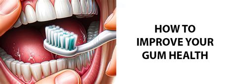 The Gum Health Guide How To Improve Your Gum Health