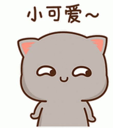 Gay Me Sticker Gay Me Wtf Discover Share Gifs