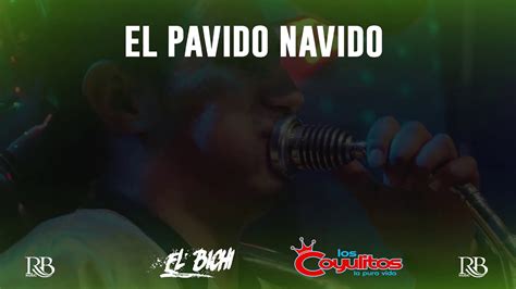 Banda Los Coyulitos Pávido Navido Ft El Bichi Karaoke Youtube