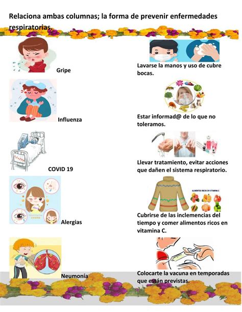 Ejercicio De Prevenci N De Enfermedades Respiratorias Comunes School