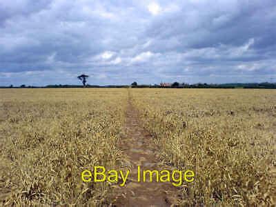 Photo X Path Through Wheat Field Ossington A Very Muddy Foot Path