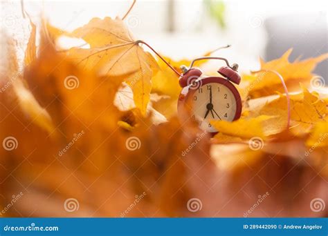 Vintage Black Alarm Clock On Autumn Leaves Time Change Abstract Photo