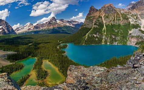 Brown Rocky Mountain Nature Landscape Lake O Hara British Columbia