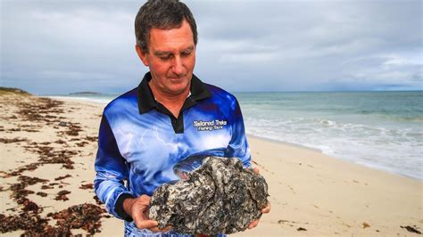 Lancelin Operator Finds Massive Lump Of Ambergris On Wa Beach Perthnow