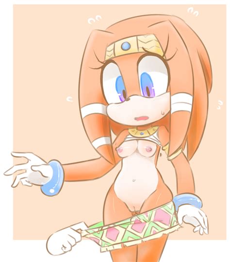 Post 4056821 Sonic The Hedgehog Series Tikal The Echidna Voidinac