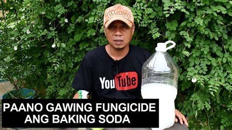 Paano Gawing Homemade Fungicide Ang Baking Soda Para Sa Ating Mga