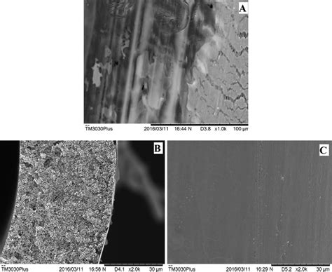 Ptfe Porous Membrane Surface A And Teflon Pp Composite Membrane Cross