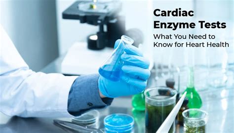 Cardiac Enzyme Tests What You Need To Know For Heart Health