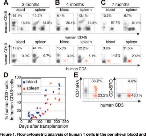 Figure 1 From Hematopoietic Stem Cell Engrafted Nod Scid Il 2 R