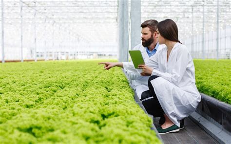 Conoce el Rol del Ingeniero Agrónomo Agroingenia Canarias