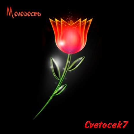 Cvetocek7 - Незабудка (Alexei Shkurko Remix) MP3 Download & Lyrics ...