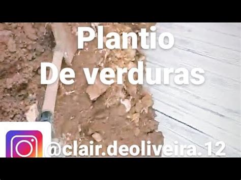 a nova plantação de verduras está chegando YouTube