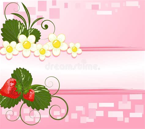 Strawberry Frame Red Berry And White Flowe Stock Vector Illustration