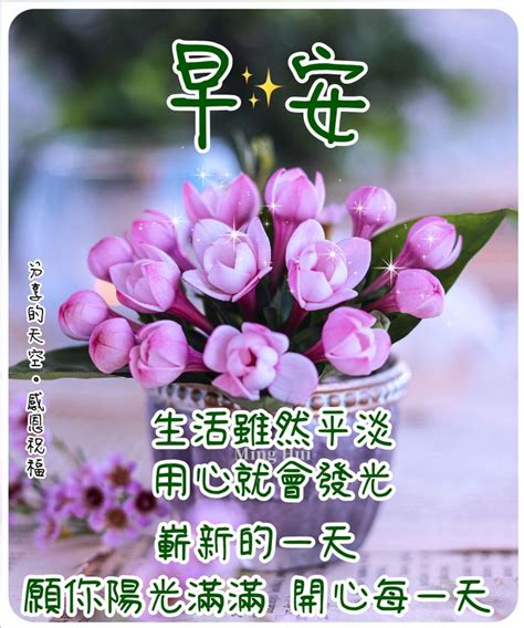 Pin by Ming Hui on 早安 in 2023 Good morning flowers Morning flowers