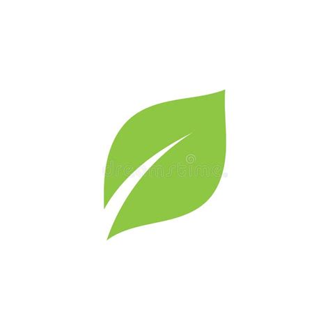 Groen Blad Overzicht Van Ecologie Logo Natuur Element Vector