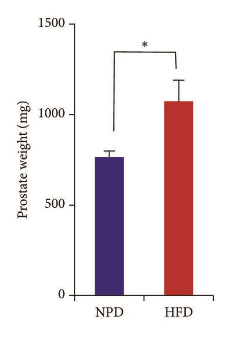 Chronic High Fat Diet Hfd Feeding Induces Insulin Resistance And