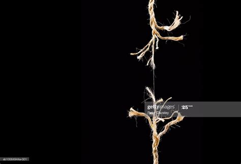 Frayed Rope Breaking On Black Background