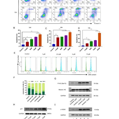 Anlotinib Inhibited Proliferation And Migration Of Ovarian Cancer