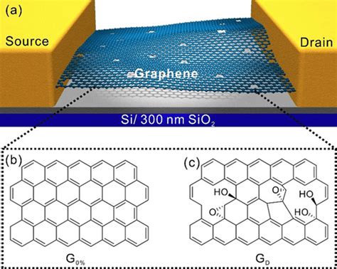 A Schematic Diagram Of Graphene Based Field Effect Transistor