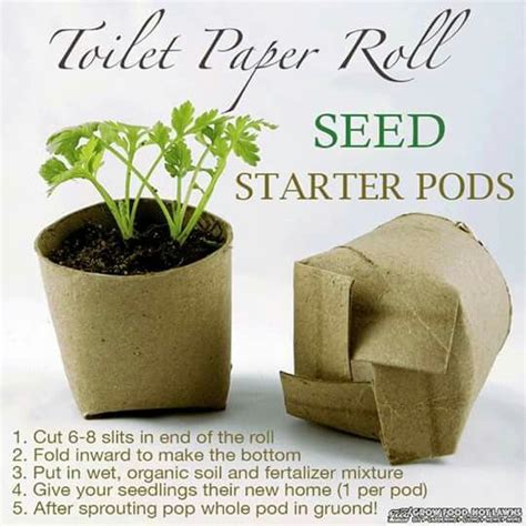 Seed Starter From Toilet Paper Roll Toilet Paper Crafts Toilet Roll