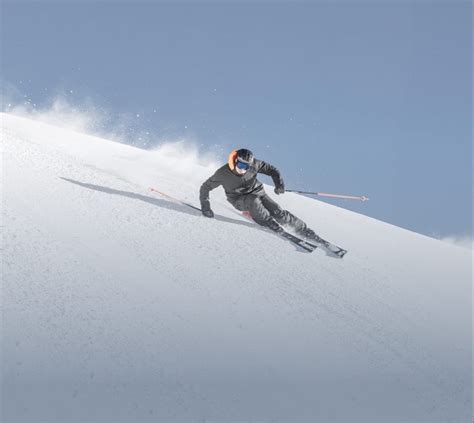 Dobermann Nordica Skis And Boots Official Website