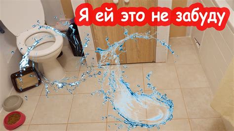 VLOG Облила меня водой из УНИТАЗА. Собираю вещи уезжать - YouTube