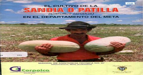 Cultivo De La Sandia En El Departamento Del Meta PDF Document