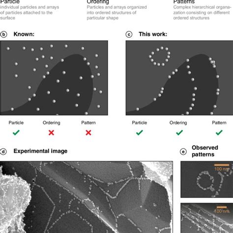 Different types of structural organization of nanoscale materials. (a ...