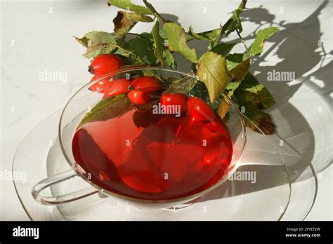 Rose Hip Tea Stock Photo - Alamy