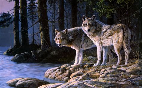 Wolf Wallpaper Hd Free Download