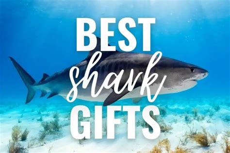 33 Best Shark Gifts That Are Totally Jaw-some!