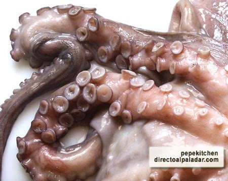 Pulpo Fresco O Congelado